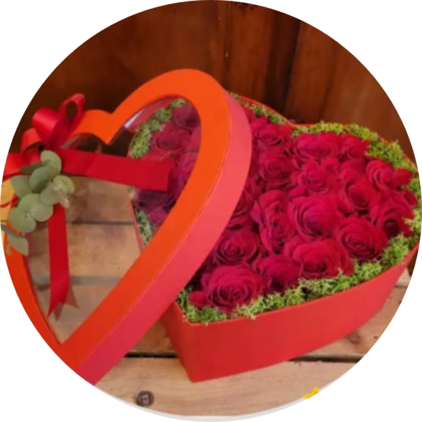 Cuore